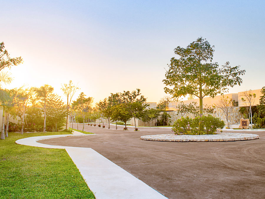 10,000 m2 de áreas verdes