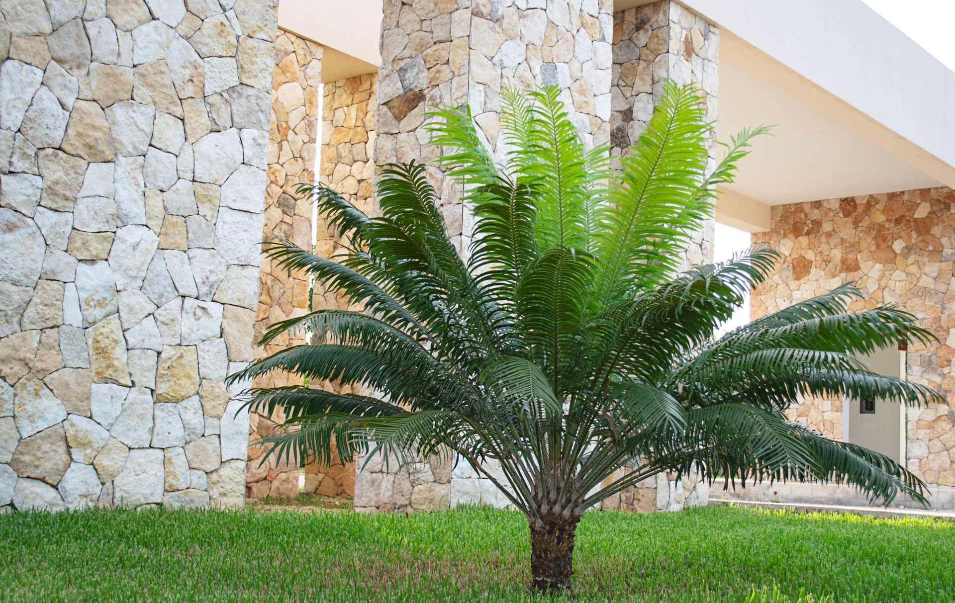 El Cortijo: Cada vez más cerca de ser una realidad.