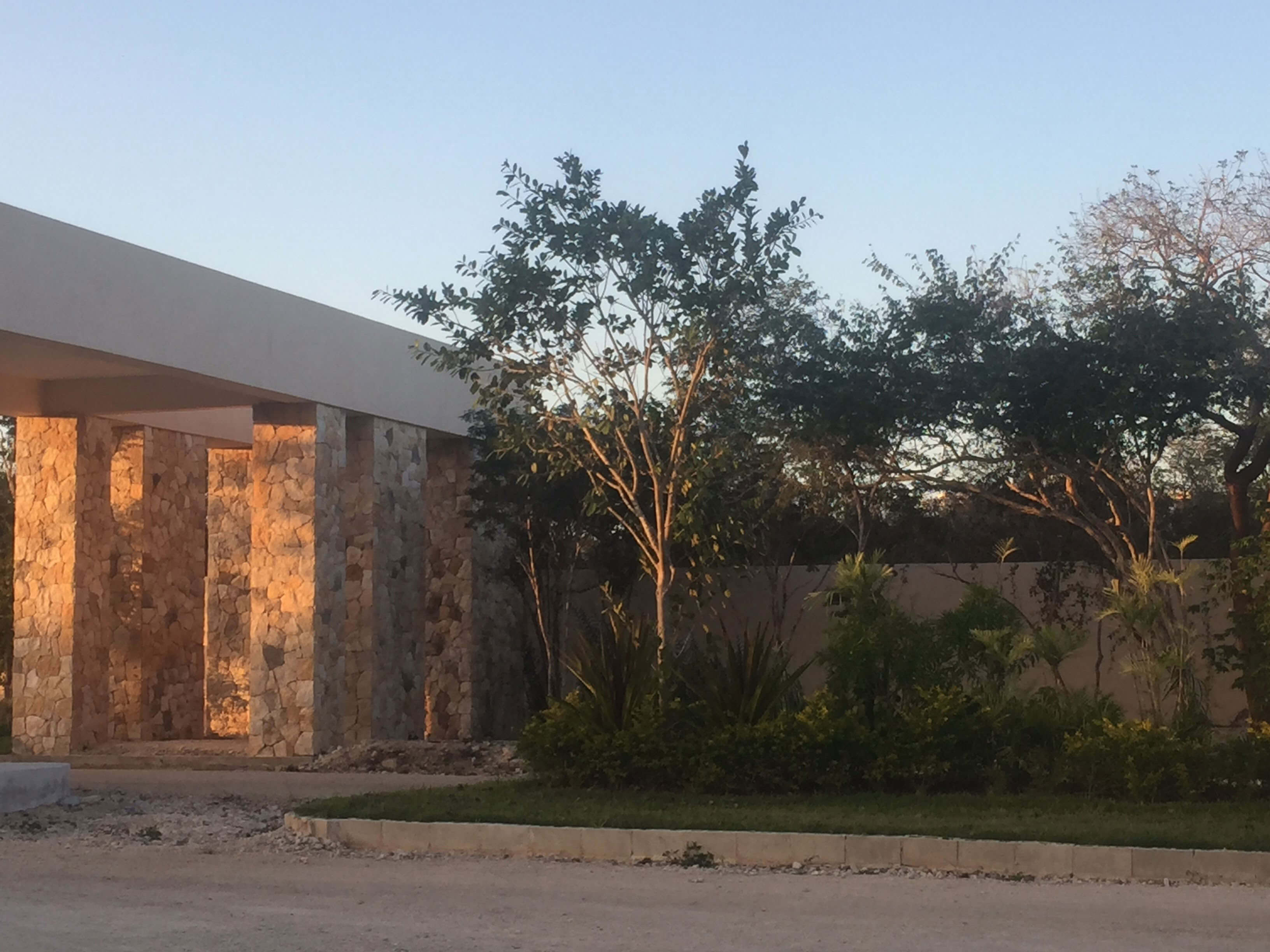 50% de los lotes vendidos en preventa