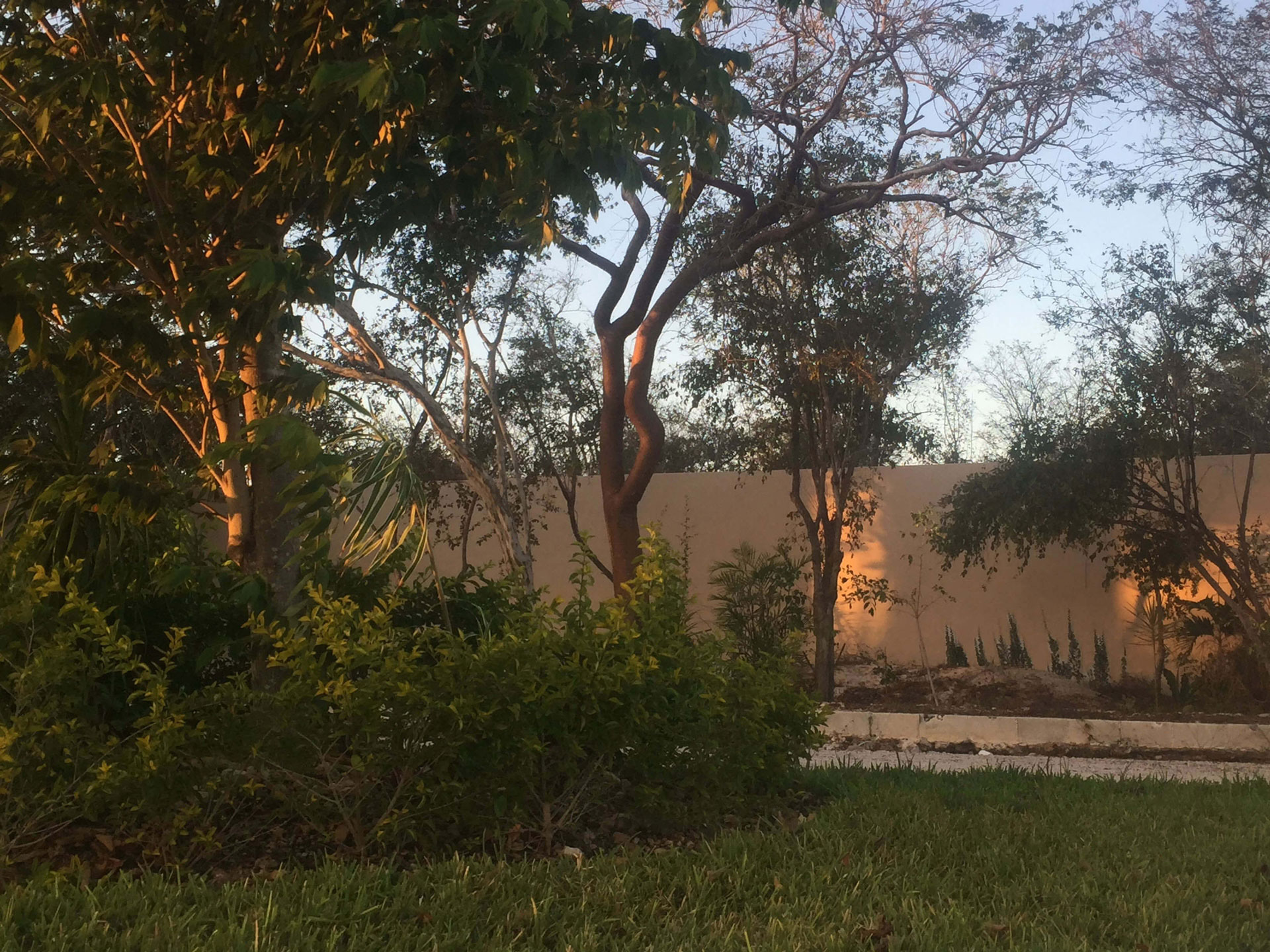 Avances de Obra: Diseño de paisaje.