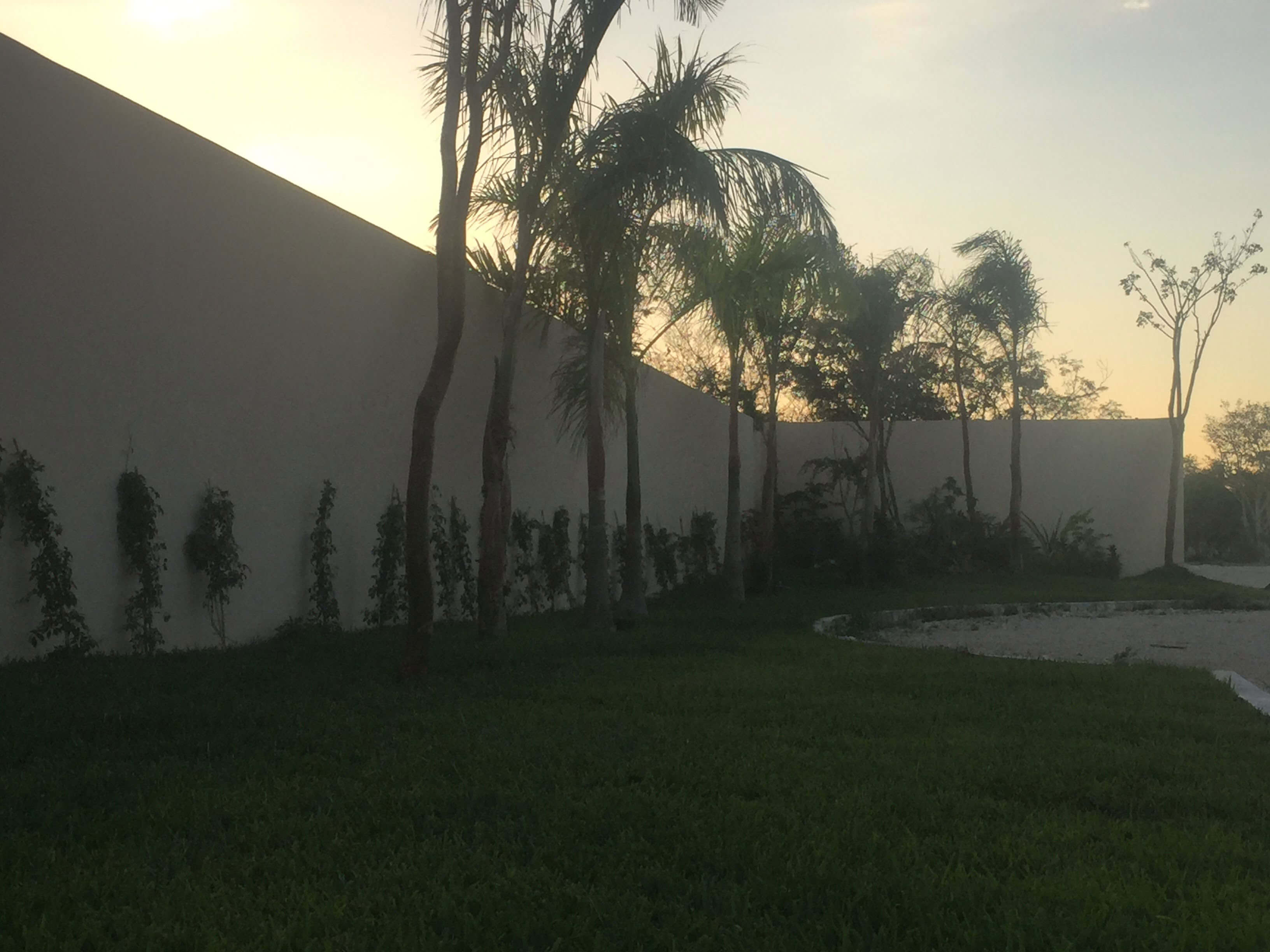 Avances de Obra: Diseño de paisaje.