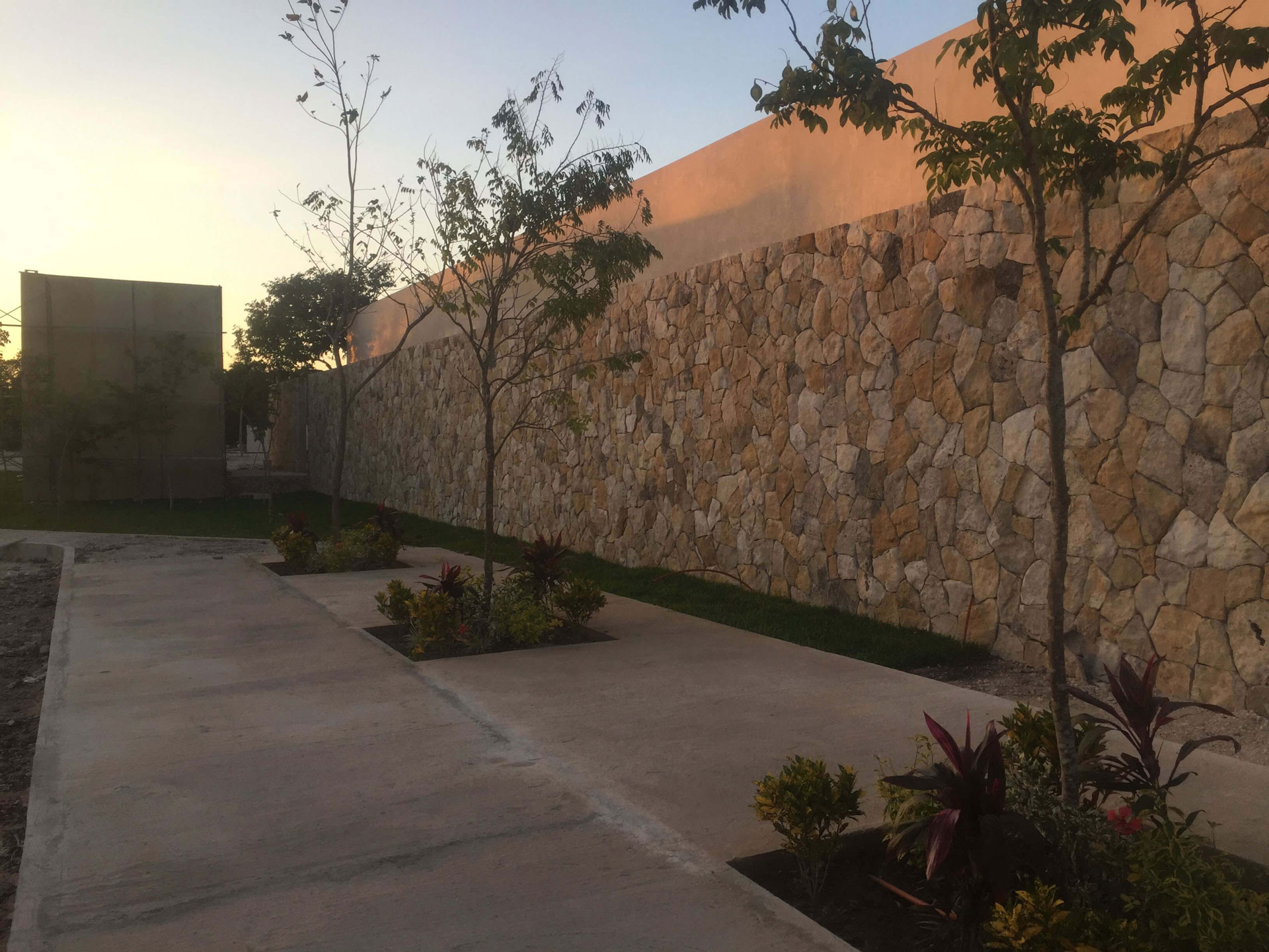 50% de los lotes vendidos en preventa