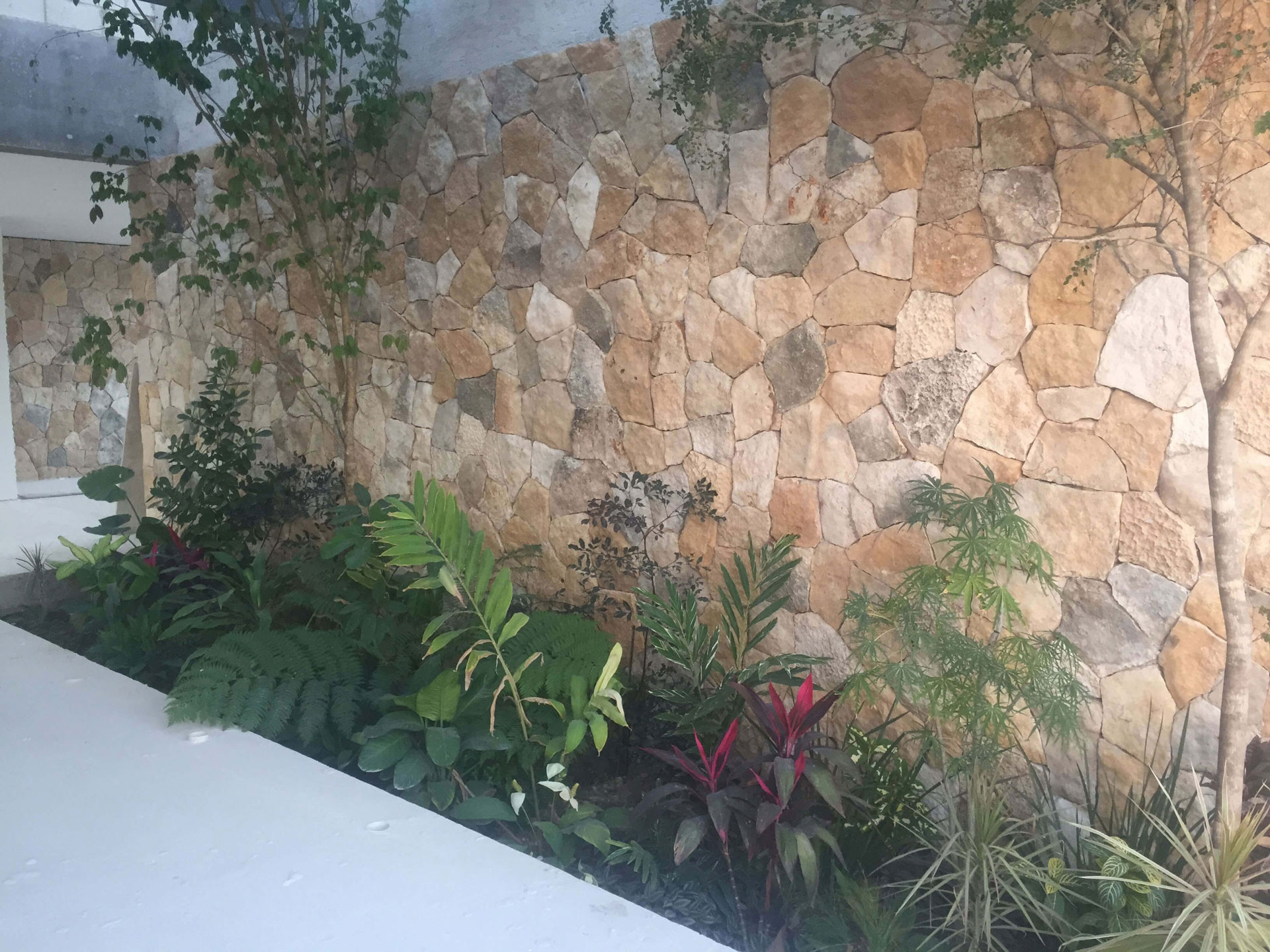 Avances de Obra: Diseño de paisaje.