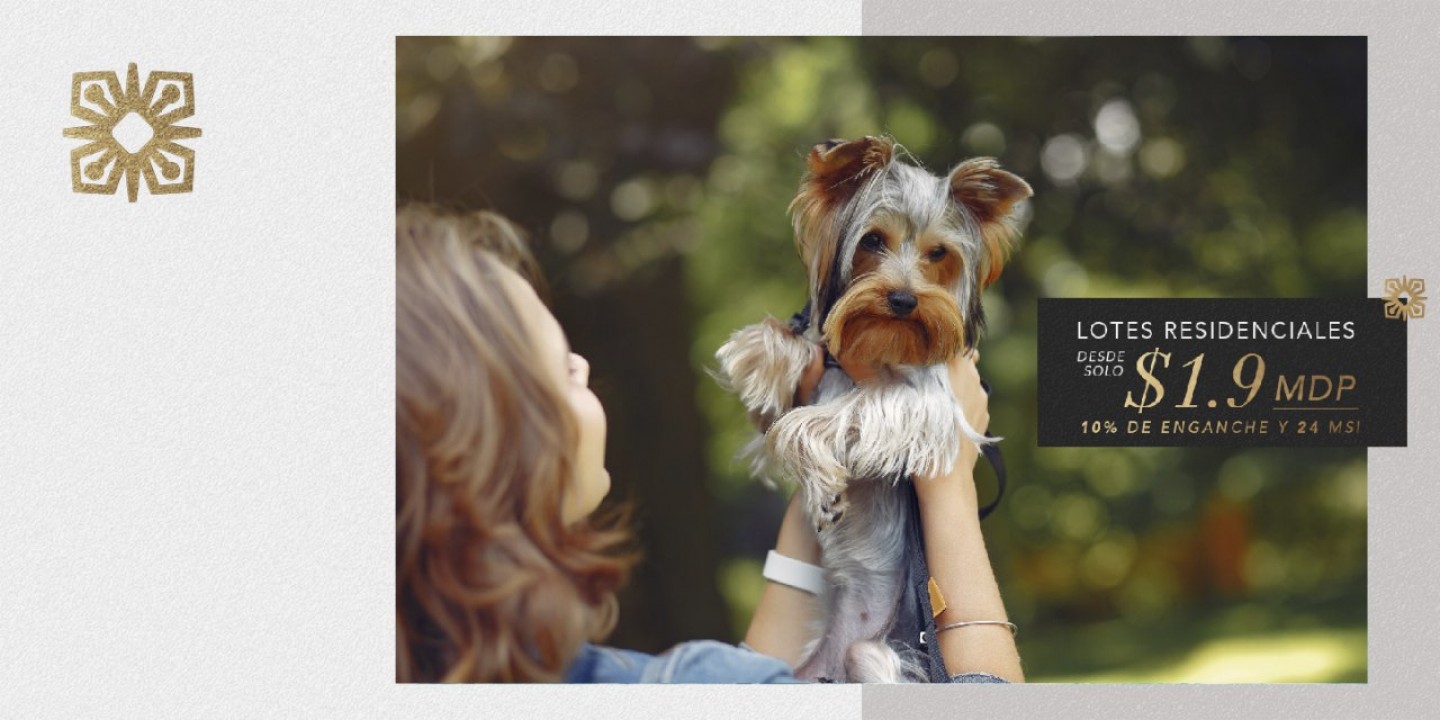 Pet Park, amenidad premium para tu mascota