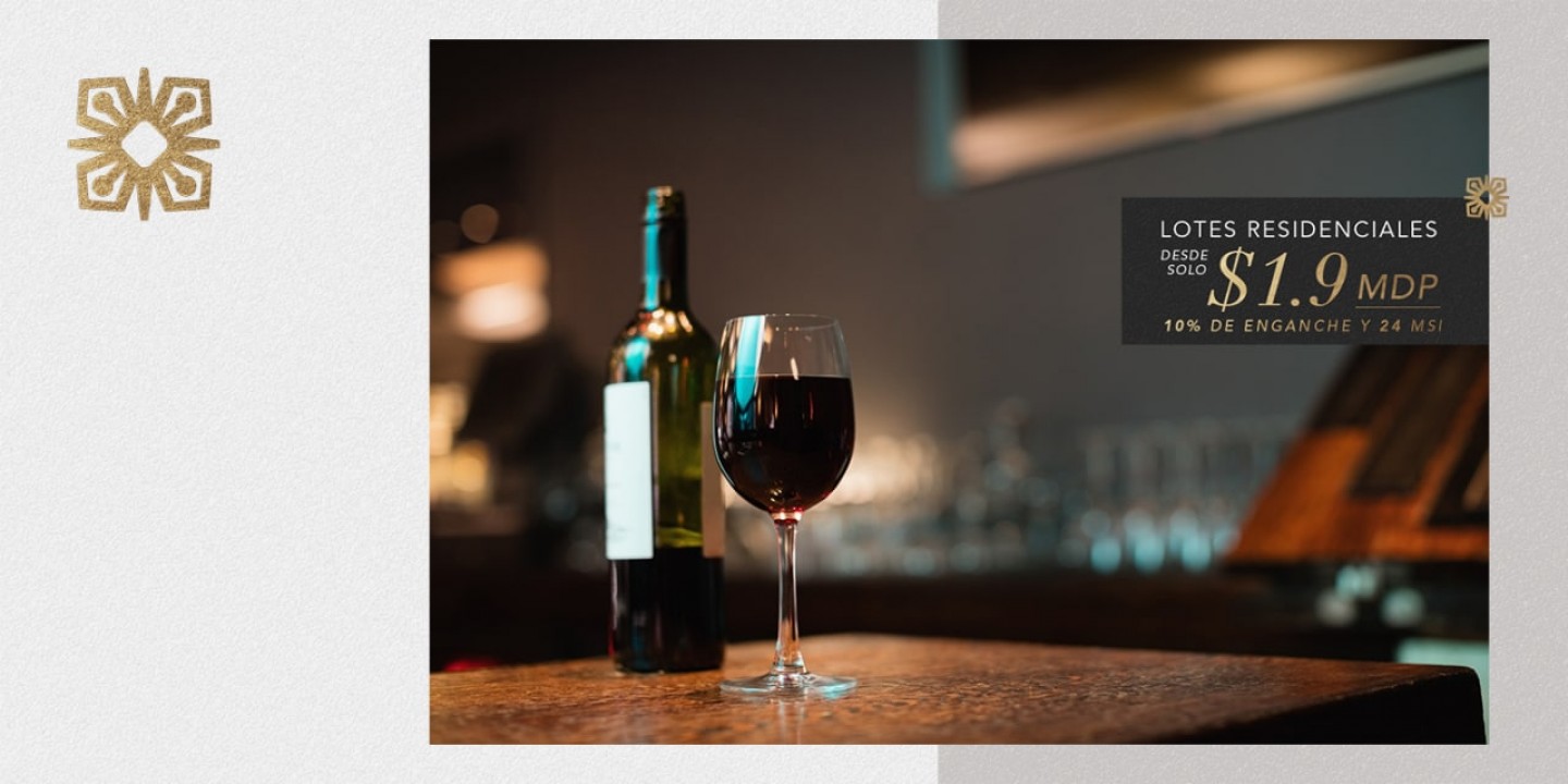 Vino, beneficios para nuestra salud. ¡Conoce tres bebidas con vino tinto!